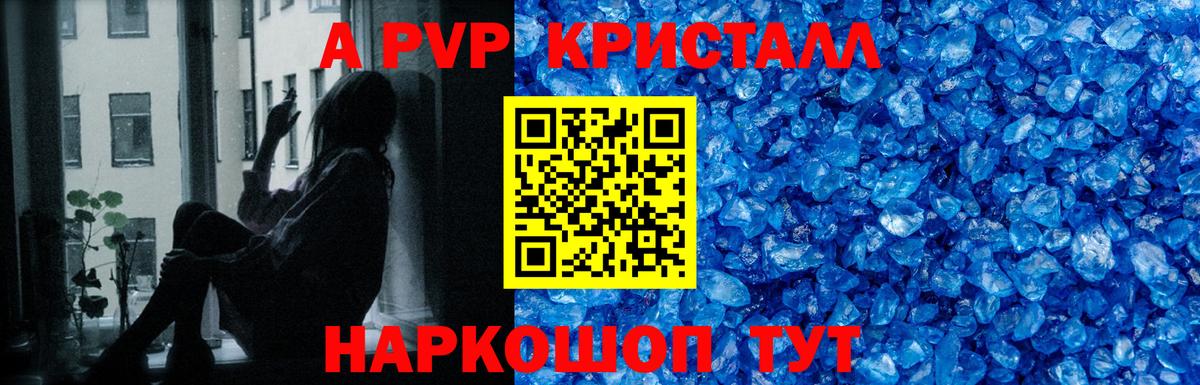 A PVP СК КРИС Тельмана