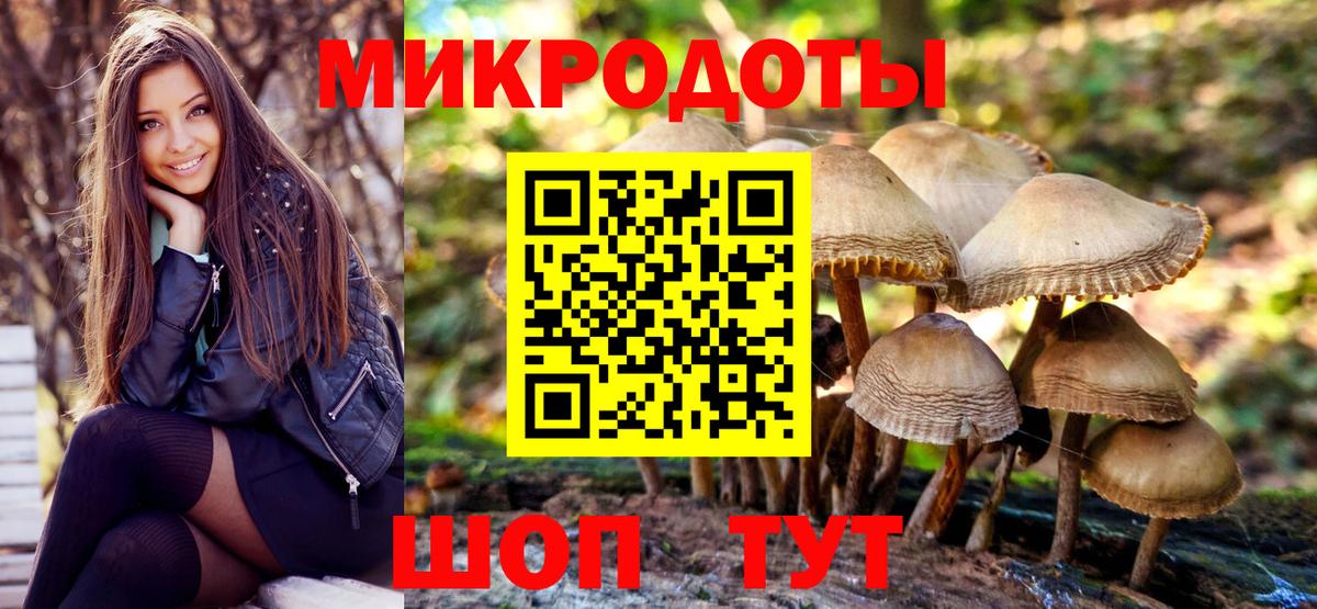 Псилоцибиновые грибы MAGIC MUSHROOMS  Вход с VPN  Псилоцибиновые грибы GOLDEN TEACHER  Тельмана 